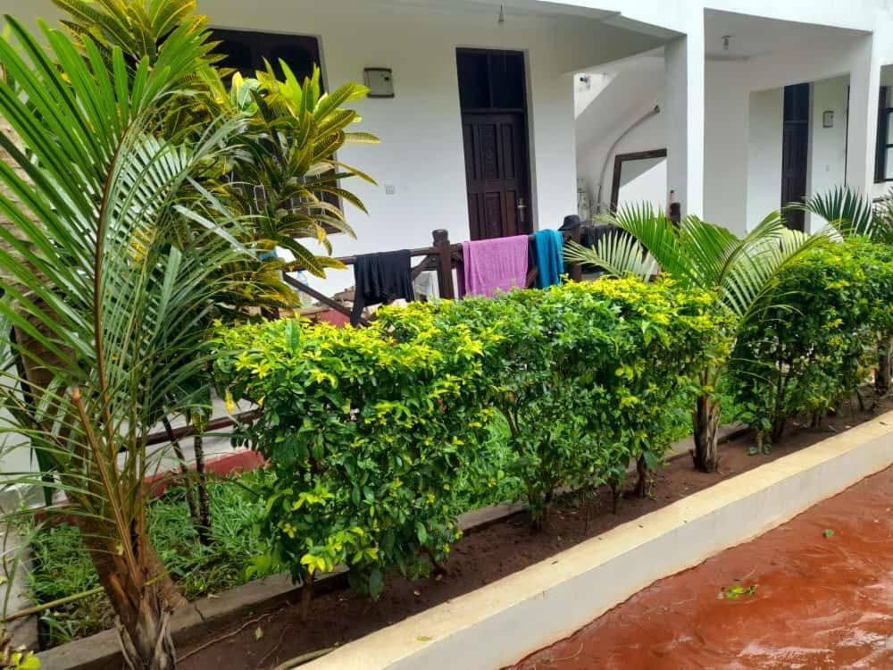 Majani Breeze Villa Nungwi Buitenkant foto