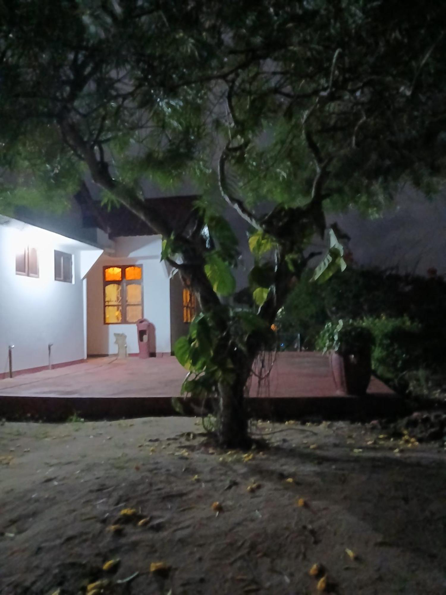 Majani Breeze Villa Nungwi Buitenkant foto