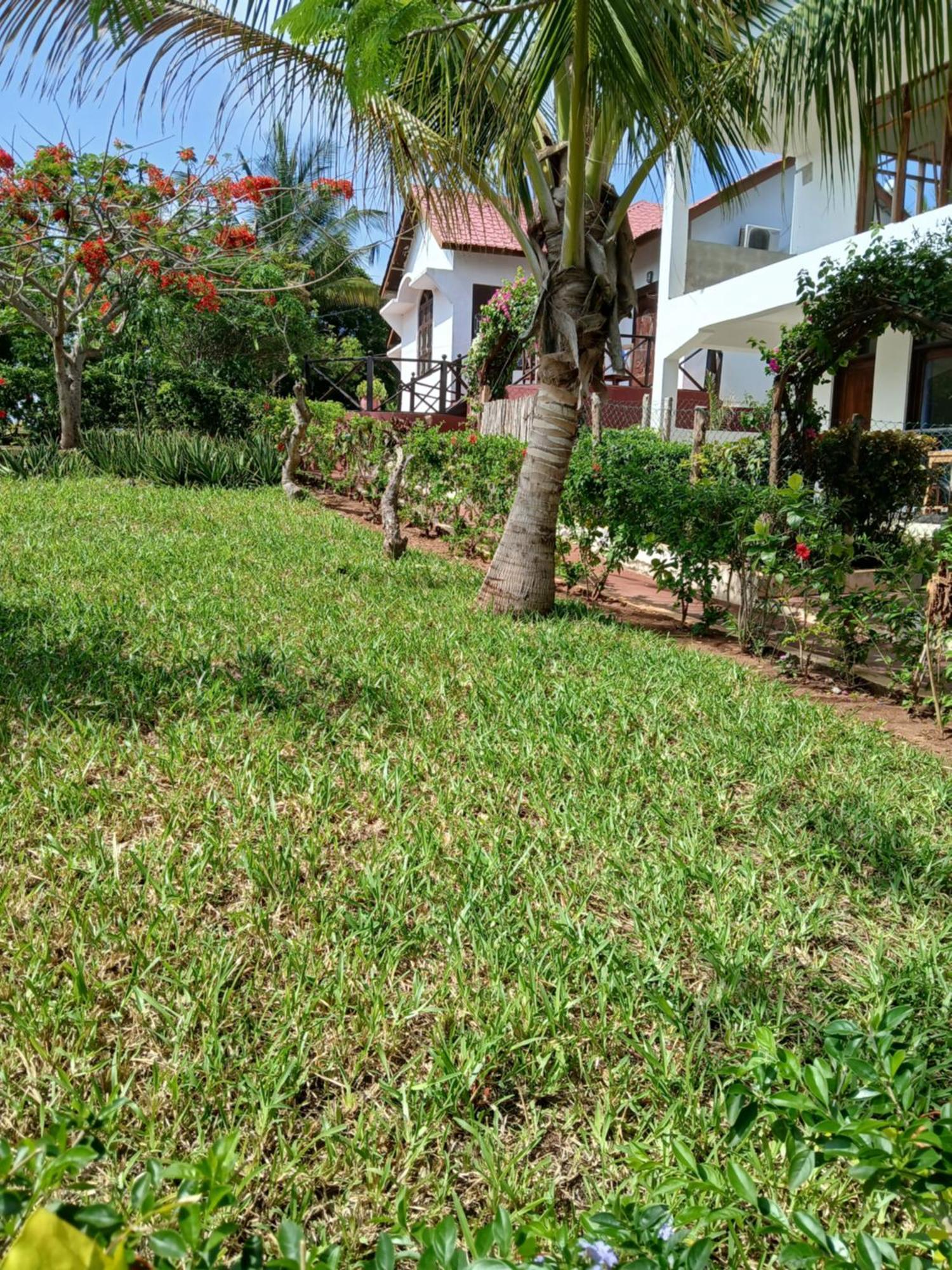 Majani Breeze Villa Nungwi Buitenkant foto