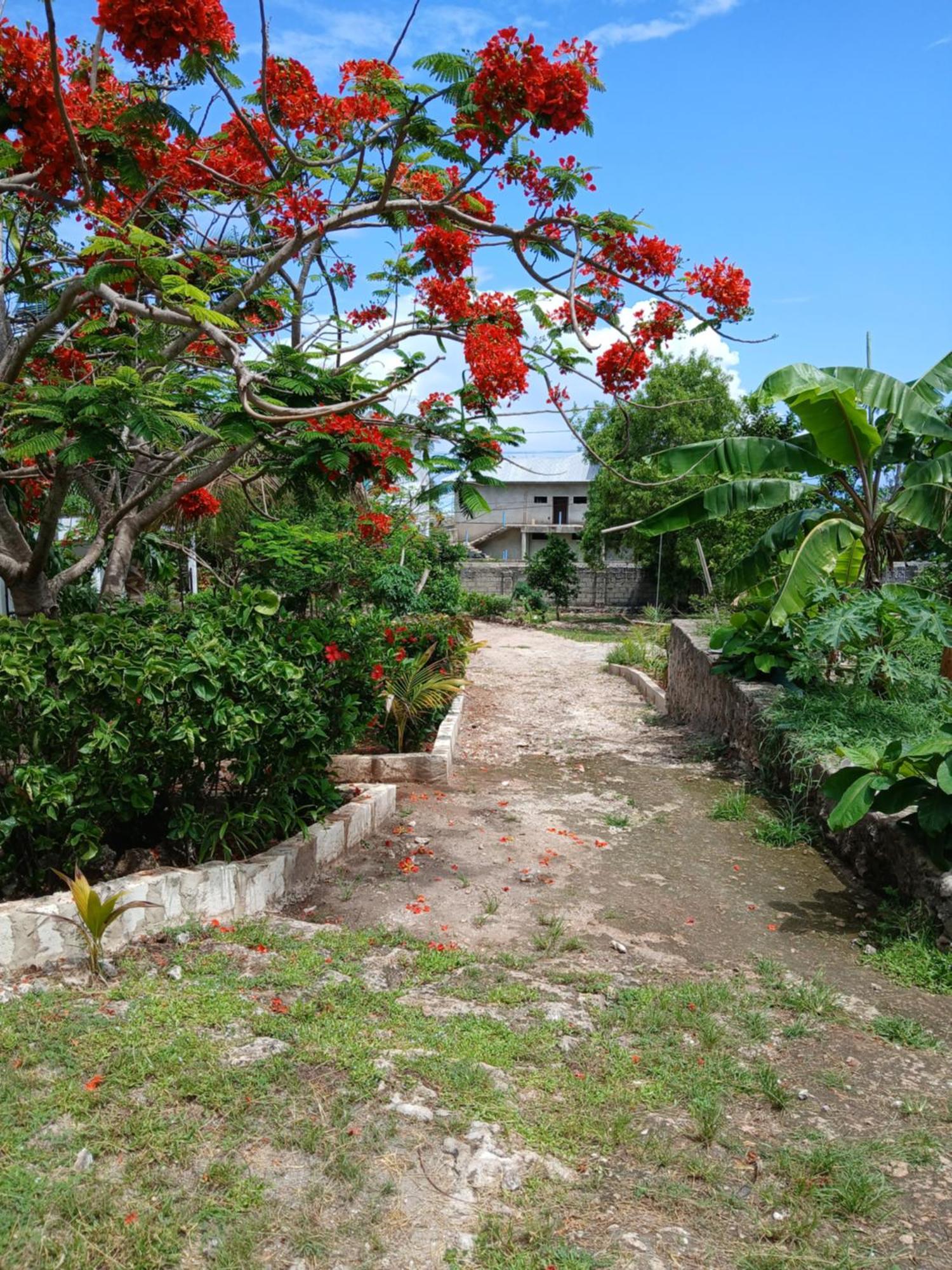 Majani Breeze Villa Nungwi Buitenkant foto