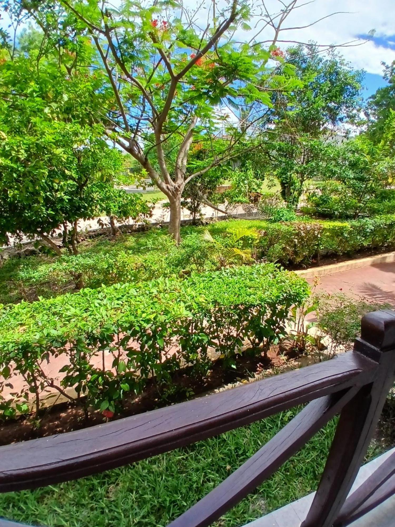 Majani Breeze Villa Nungwi Buitenkant foto