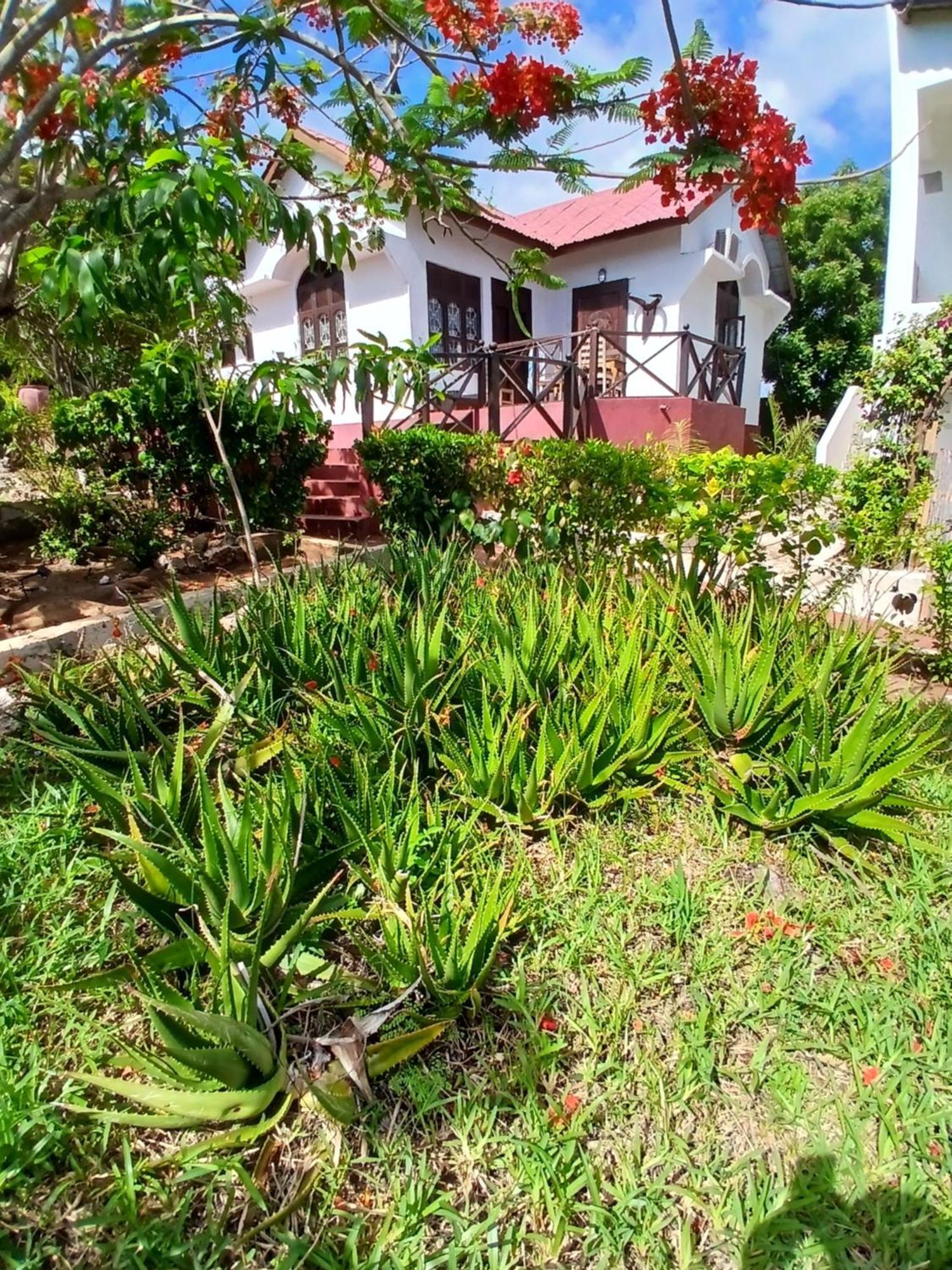 Majani Breeze Villa Nungwi Buitenkant foto