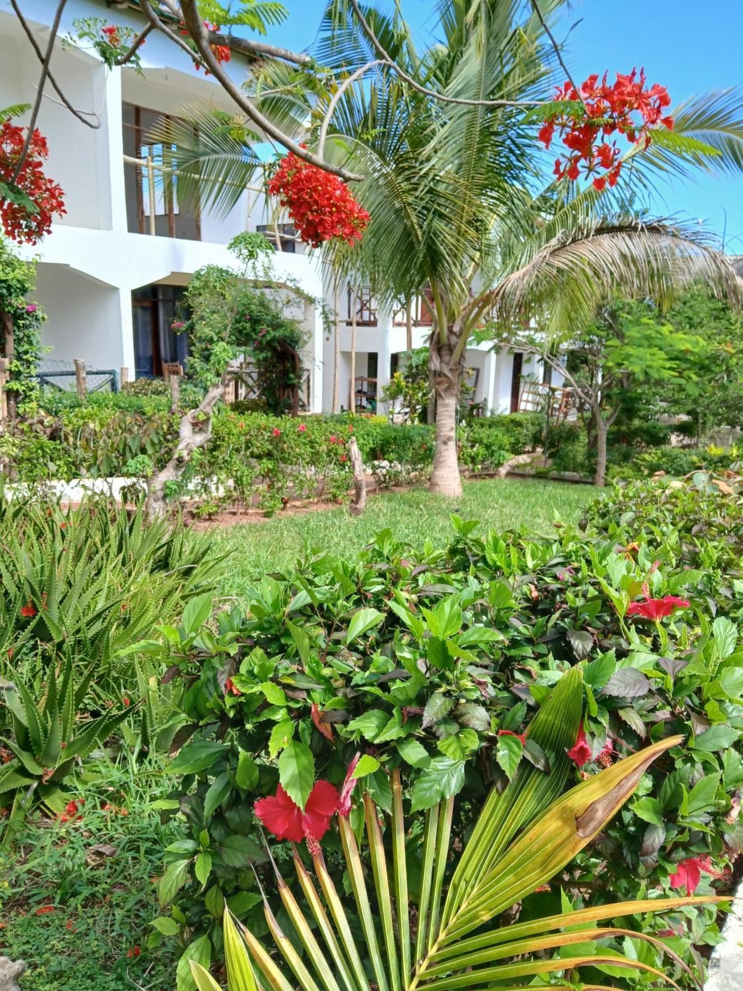 Majani Breeze Villa Nungwi Buitenkant foto