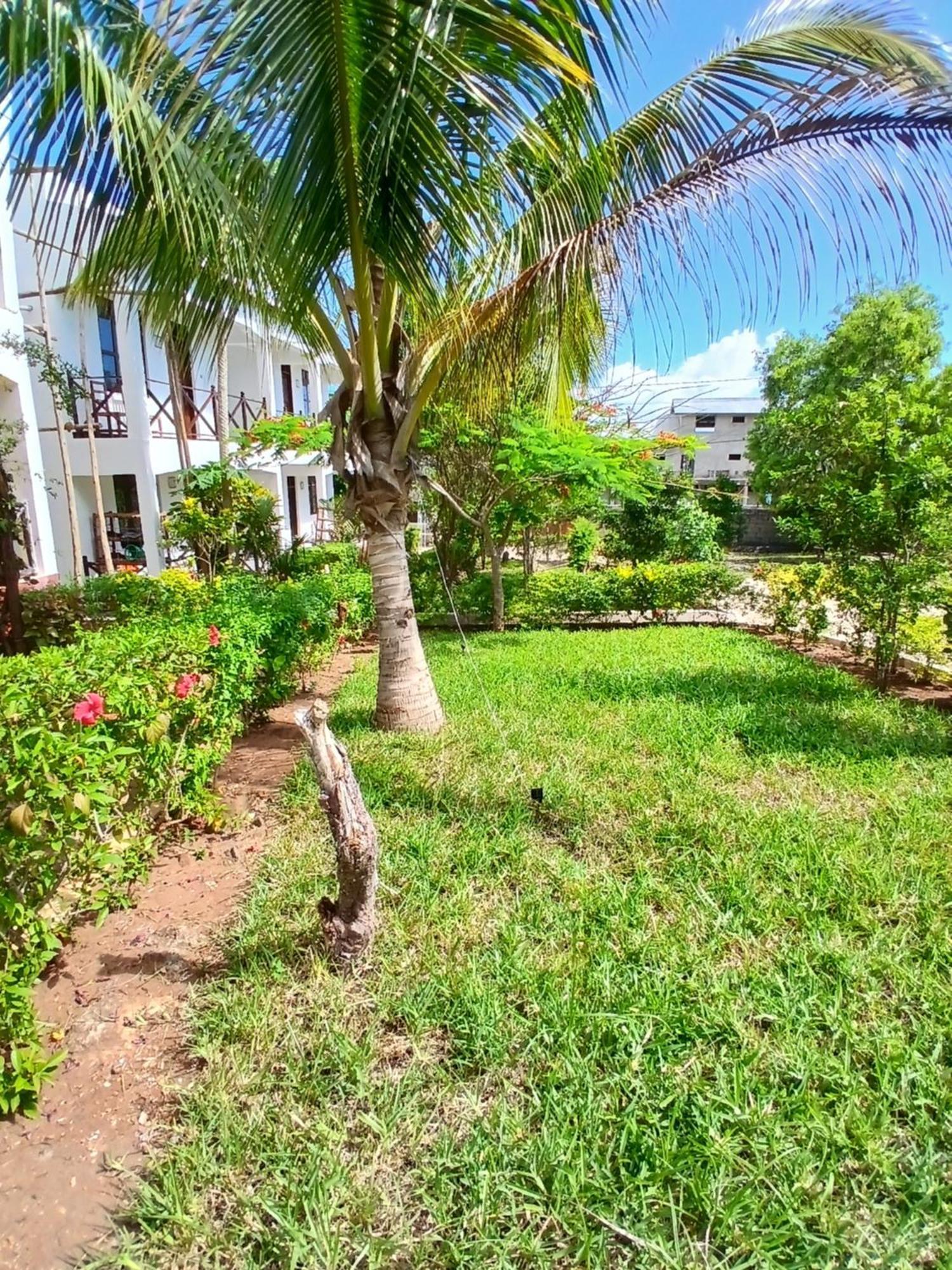 Majani Breeze Villa Nungwi Buitenkant foto