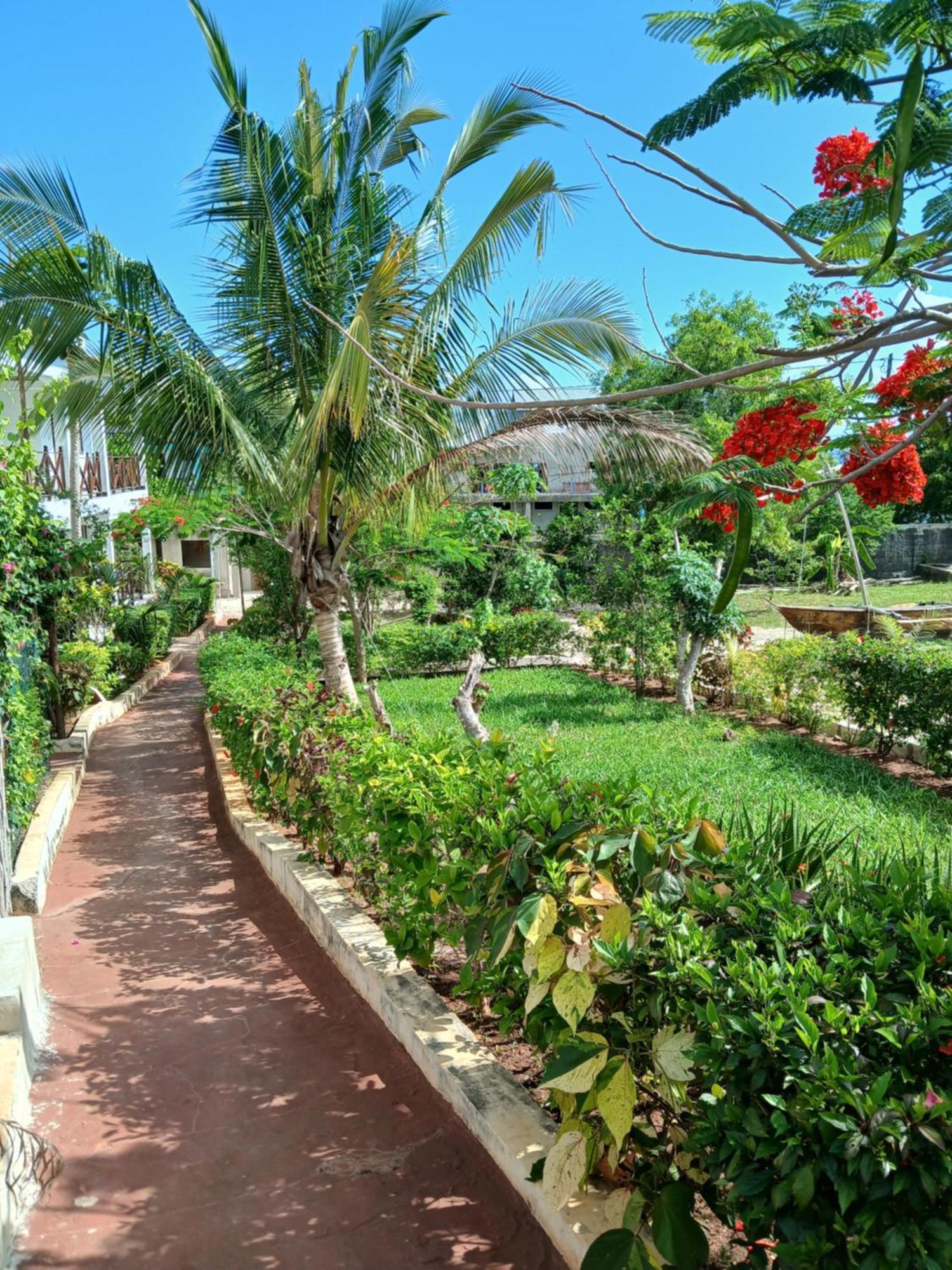 Majani Breeze Villa Nungwi Buitenkant foto
