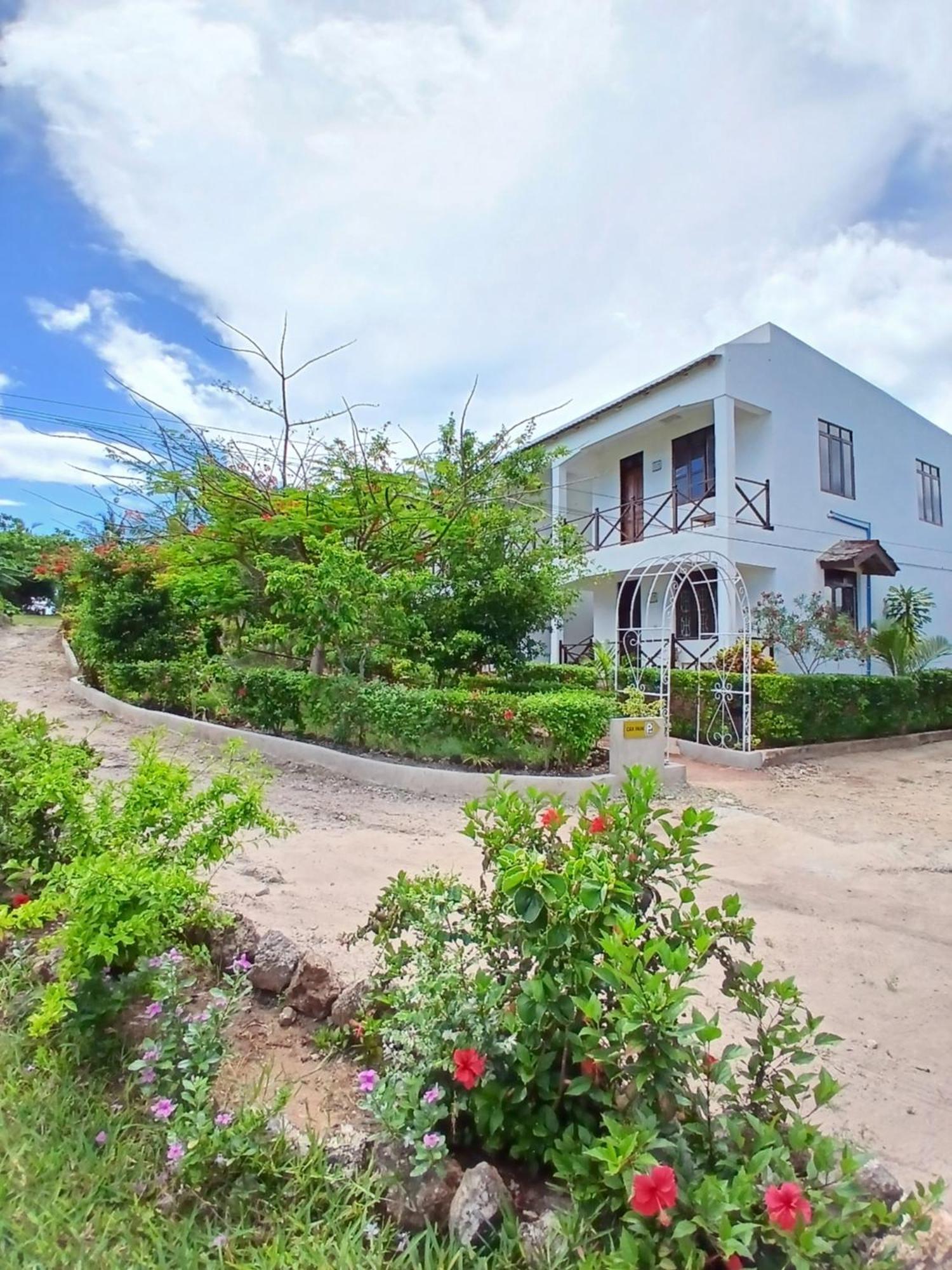Majani Breeze Villa Nungwi Buitenkant foto