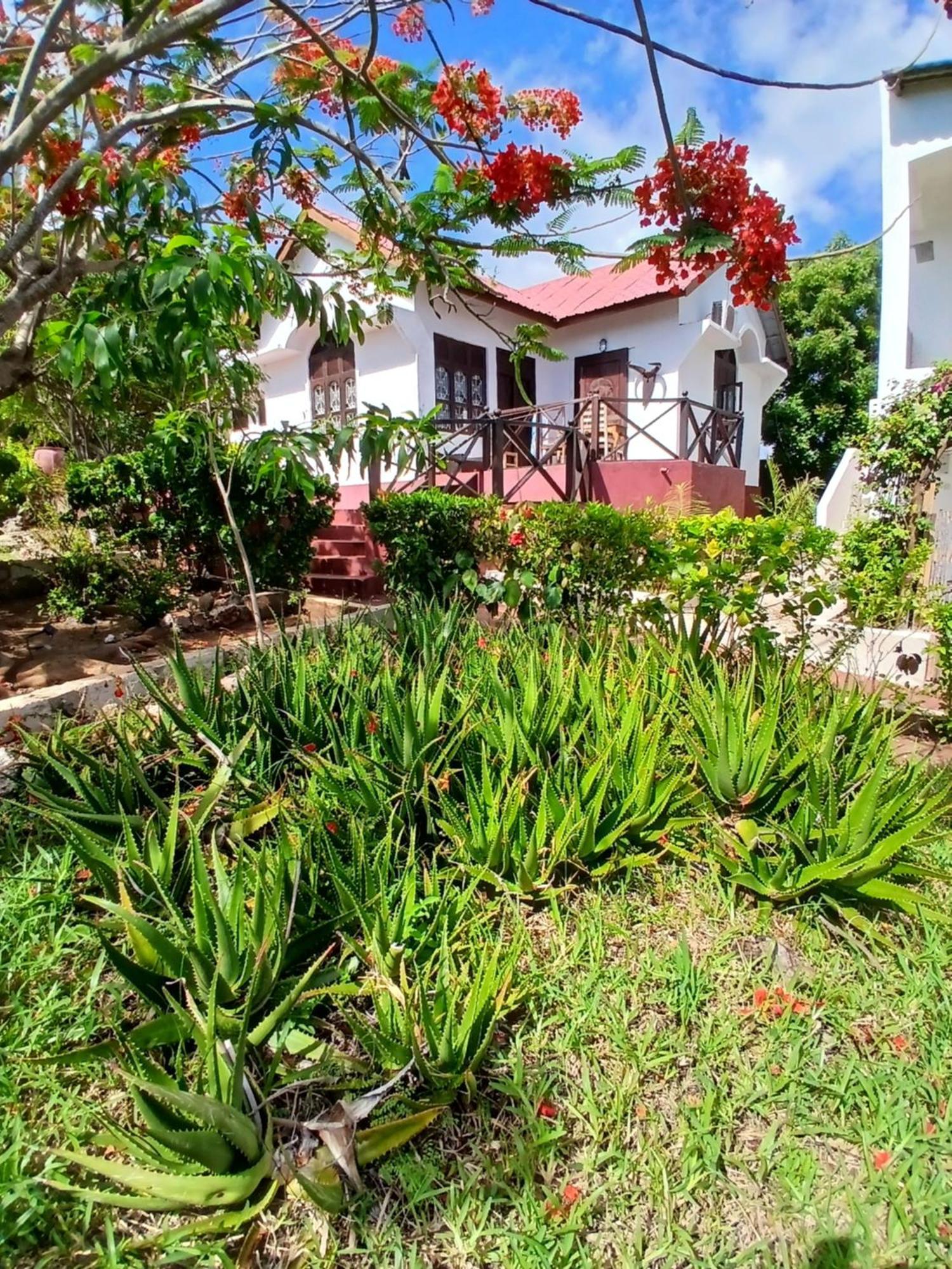 Majani Breeze Villa Nungwi Buitenkant foto