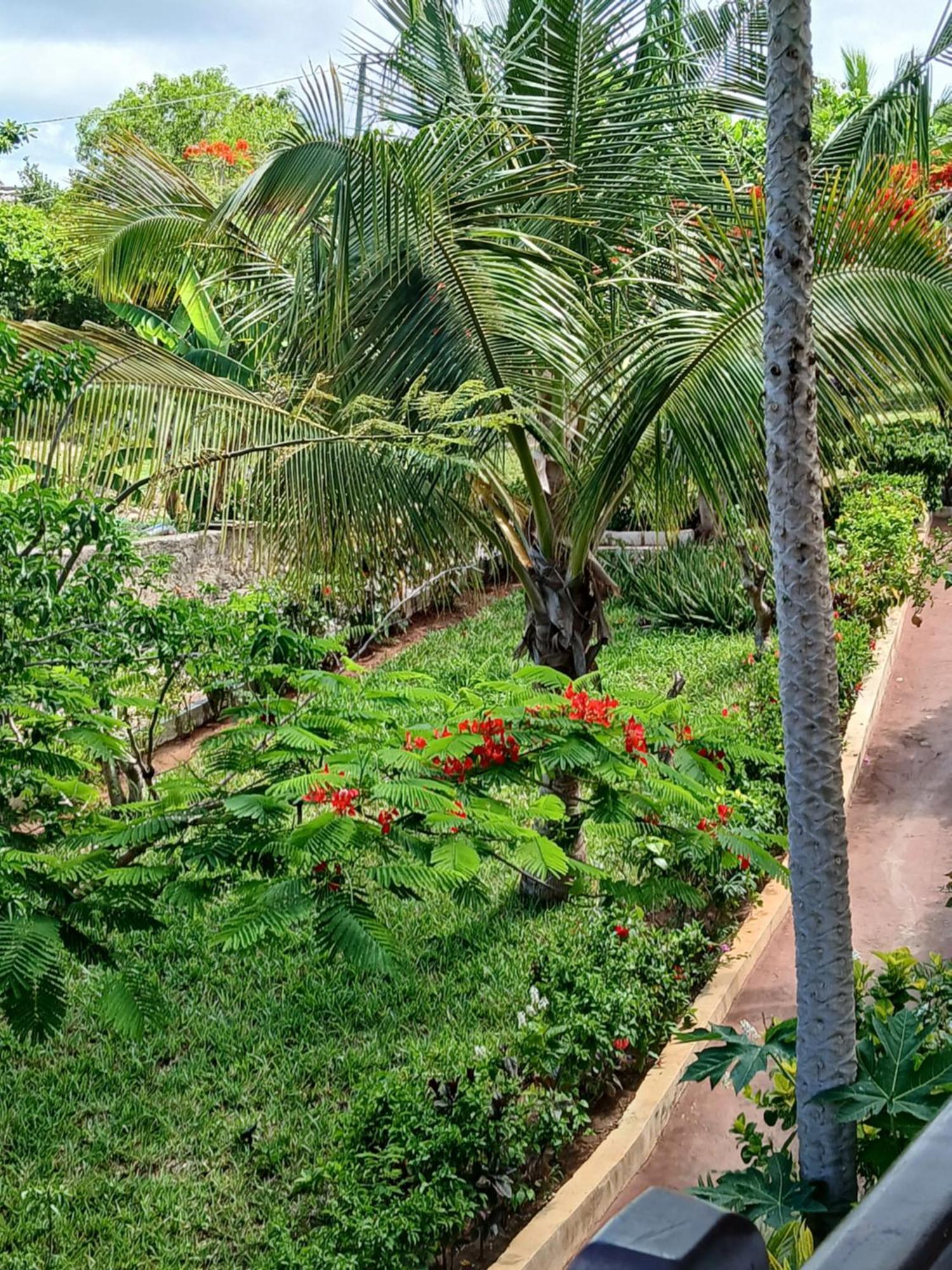 Majani Breeze Villa Nungwi Buitenkant foto